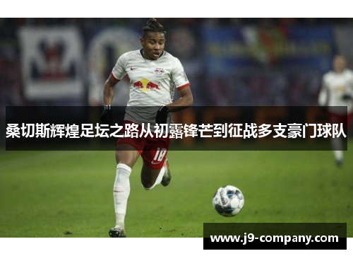 桑切斯辉煌足坛之路从初露锋芒到征战多支豪门球队 桑切斯辉煌足坛之路从初露锋芒到征战多支豪门球队