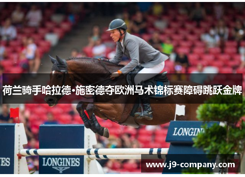 荷兰骑手哈拉德·施密德夺欧洲马术锦标赛障碍跳跃金牌