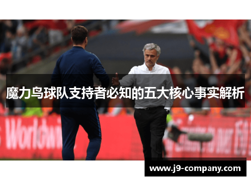 魔力鸟球队支持者必知的五大核心事实解析