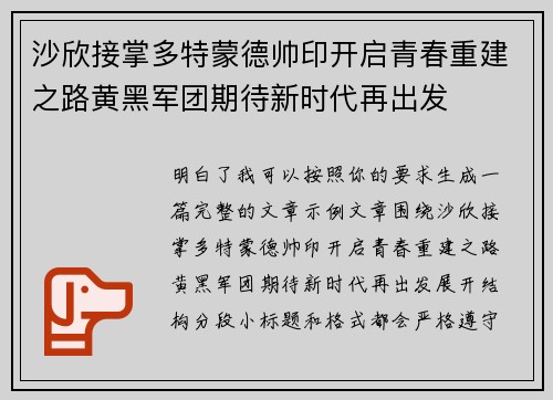 沙欣接掌多特蒙德帅印开启青春重建之路黄黑军团期待新时代再出发