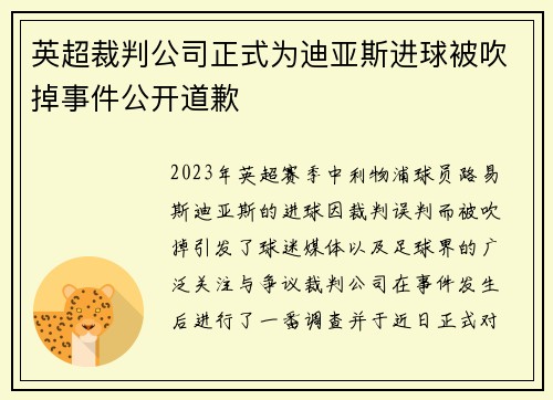英超裁判公司正式为迪亚斯进球被吹掉事件公开道歉